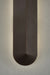 Troy B5820 Ronan 1-lt 20" Tall LED Outdoor Wall Sconce