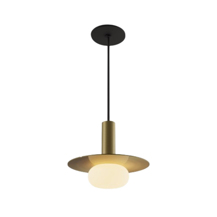 Koncept CMP-S1-S-06 Combi LED Pendant, Metal Plate with Frosted Glass Ball