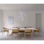 Sonneman 2151 Constellation Aquila 13-lt 26" LED Minor Chandelier
