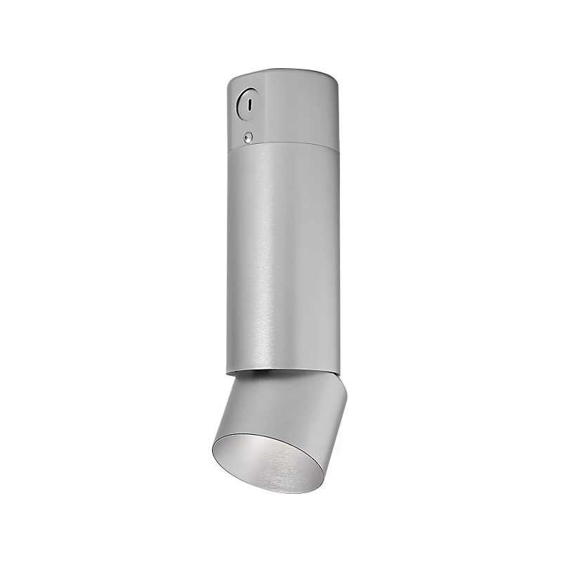 ENTRA 3" 12W Adjustable LED Cylinder, Conduit Mount - Brushed Aluminum