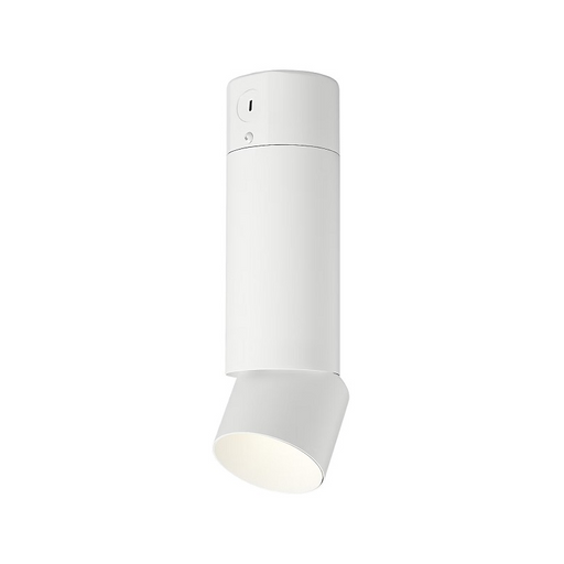 ENTRA 3" 19W Adjustable LED Cylinder, Conduit Mount - White
