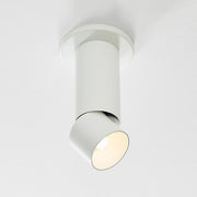 ENTRA 3" 19W Adjustable LED Cylinder, Warm Dim, Surface Mount