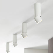 ENTRA 3" 12W Adjustable LED Cylinder, Flush Mount