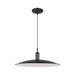 Visual Comfort TP1251 Dash 1-lt 24" LED Medium Pendant - Aged Iron