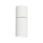 Element EC2R 2" 12W Adjustable LED Cylinder, Warm Dim, Flush Mount - White