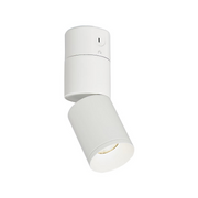Element EC3R 3" 19W Adjustable LED Cylinder, Warm Dim, Conduit Mount - White