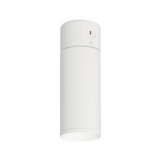 Element EC3R 3" 24W Wall Wash LED Cylinder, Conduit Mount - White