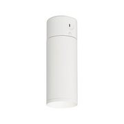 Element EC3R 3" 15W Fixed LED Cylinder, Warm Dim, Conduit Mount - White