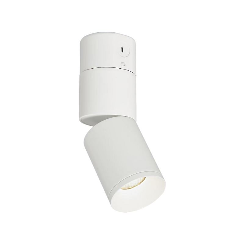 Element EC3R 3" 15W Adjustable LED Cylinder, Conduit Mount - White