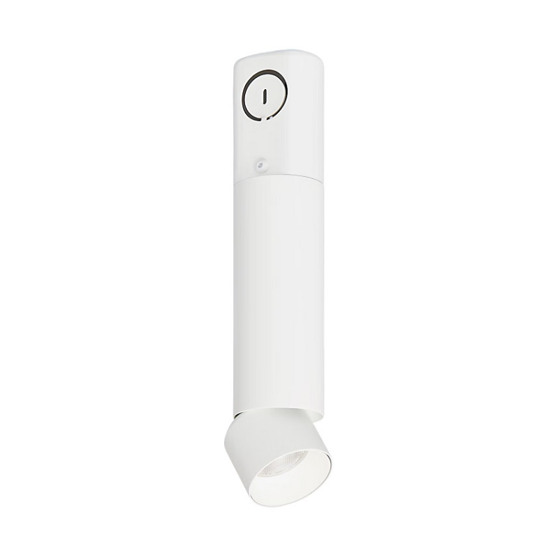 ENTRA 2" 12W Adjustable LED Cylinder, Conduit Mount - White