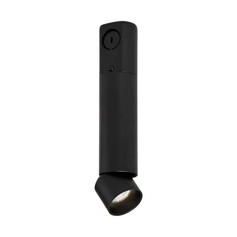ENTRA 2" 12W Adjustable LED Cylinder, Conduit Mount - Black