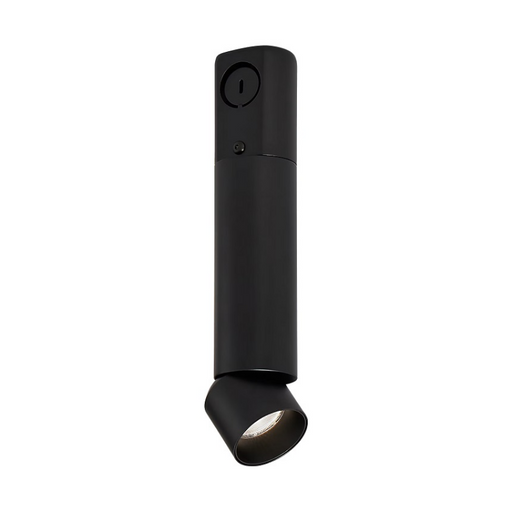 ENTRA 2" 12W Adjustable LED Cylinder, Conduit Mount - Black