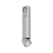 Element ENCY2R ENTRA 2" 8W Adjustable LED Cylinder, Conduit Mount - Brushed Aluminum