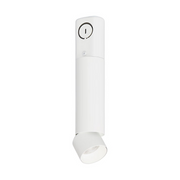 ENTRA 2" 12W Adjustable LED Cylinder, Warm Dim, Conduit Mount - White