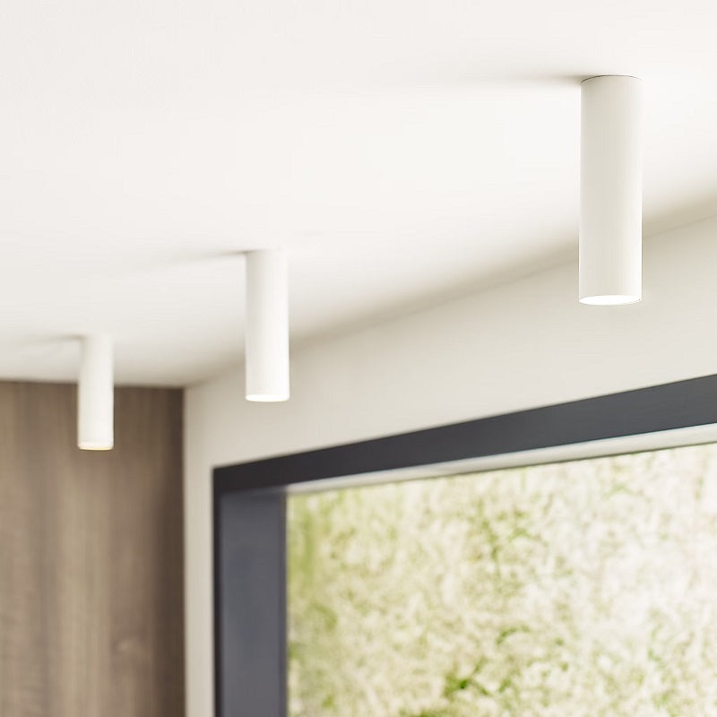 ENTRA 2" 12W Fixed LED Cylinder, Warm Dim, Flush Mount