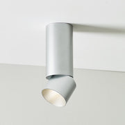 ENTRA 3" 19W Adjustable LED Cylinder, Warm Dim, Flush Mount