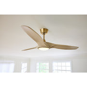 Visual Comfort 3SLNSM52 Selen Smart 52" Ceiling Fan with LED Light Kit-Burnished Brass with Washed White Oak Blades