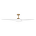 Visual Comfort 3TNSM60 Topan Smart 60" Indoor/Outdoor Ceiling Fan with LED Light Kit - Burnished Brass