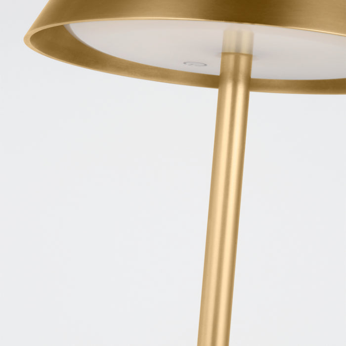 Visual Comfort SLFL536 Tepa 1-lt 49" Tall LED Rechargeable Floor Lamp - Hand Rubbed Antique Brass