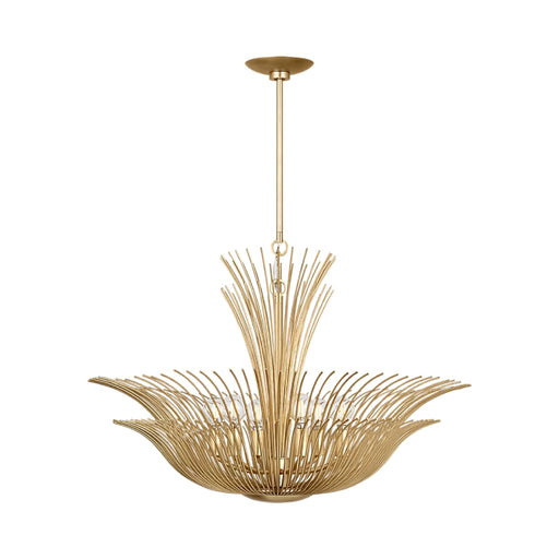 Visual Comfort LXC1196 Dorelle 6-lt 28" Chandelier