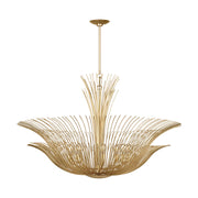 Visual Comfort LXC1218 Dorelle 8-lt 42" Chandelier