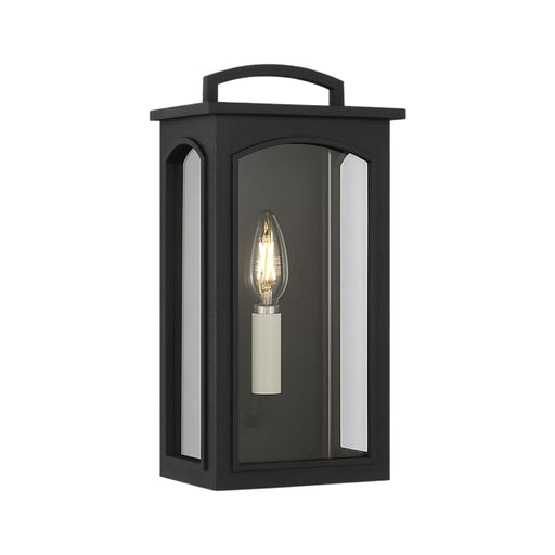 Visual Comfort CO1551 Modesto 1-lt 12" Tall Outdoor Wall Lantern