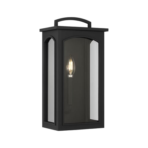 Visual Comfort CO1561 Modesto 1-lt 15" Tall Outdoor Wall Lantern