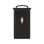 Visual Comfort CO1561 Modesto 1-lt 15" Tall Outdoor Wall Lantern
