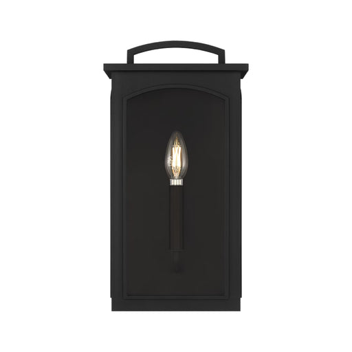 Visual Comfort CO1561 Modesto 1-lt 15" Tall Outdoor Wall Lantern