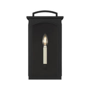 Visual Comfort CO1561 Modesto 1-lt 15" Tall Outdoor Wall Lantern