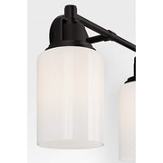 Visual Comfort CV1112 Ashford 2-lt 14" Bath Light - Aged Iron