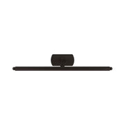 Visual Comfort CW1391 Lamont 1-lt 19" LED Picture Light - Aged Iron