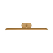 Visual Comfort CW1391 Lamont 1-lt 19" LED Picture Light - Burnished Brass