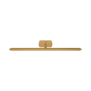 Visual Comfort CW1401 Lamont 1-lt 24" LED Picture Light - Burnished Brass