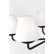 Visual Comfort DJC1175 Albion 5-lt 28" Chandelier - Midnight Black