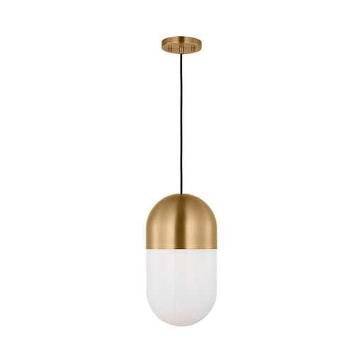Visual Comfort DJP1141 Foster 1-lt 8" Medium Pendant - Satin Brass