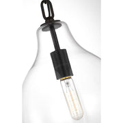 Visual Comfort EP1451 Magnus 1-lt 10" Large Pendant - Aged Iron
