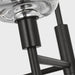 Visual Comfort TFC1143 Hartley 3-lt 24" Medium Chandelier - Aged Iron