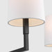 Visual Comfort TC1224 Danica 4-lt 36" LED Large Chandelier - Aged Iron