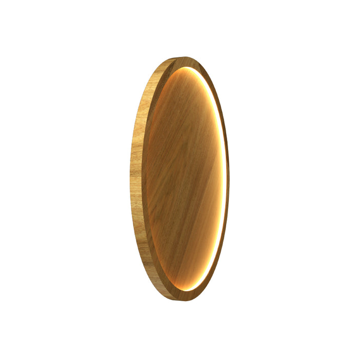 Accord 5096 Naia 1-lt 21" LED Wall Light