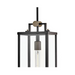 Hinkley 23012 Catalina 1-lt 8" LED Hanging Lantern - Black with Burnished Bronze accents