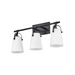 Hinkley 5133 Foster 3-lt 23" LED Vanity - Black