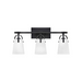 Hinkley 5133 Foster 3-lt 23" LED Vanity - Black