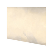 Hinkley 57033 Cadiz 1-lt 30" LED Vanity