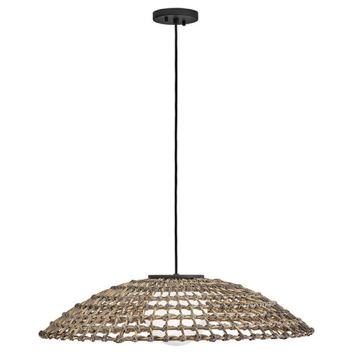 Hinkley 10395 Arlen 1-lt 30" LED Chandelier