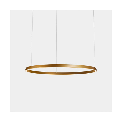 Bover Circular S/300/H 1-lt 119" LED Pendant, Downward Light-Gold