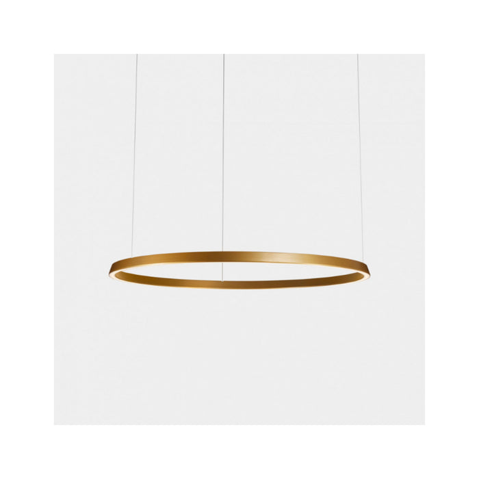 Bover Circular S/120/H 1-lt 48" LED Pendant, Downward Light-Gold