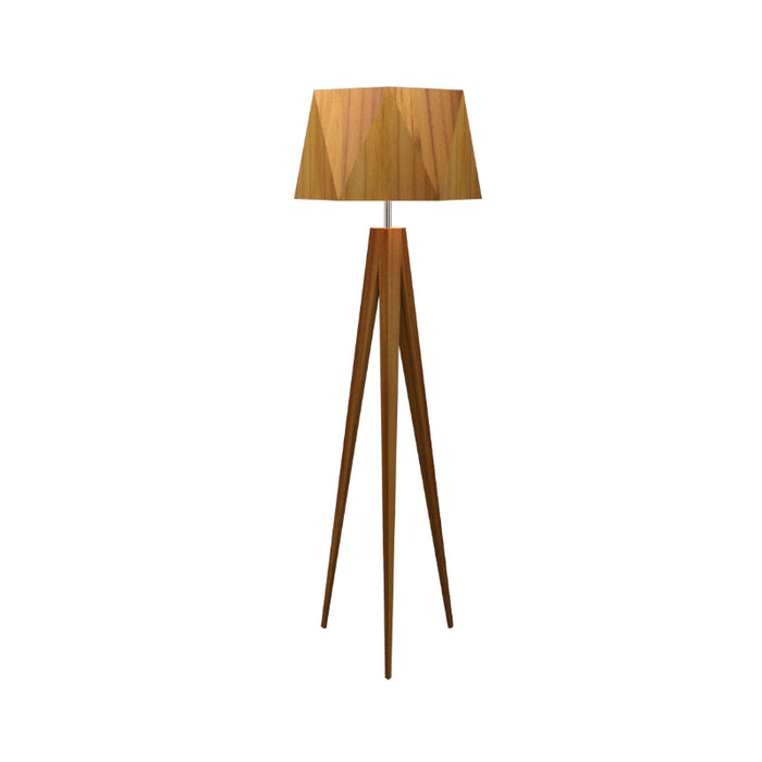 Accord 3034 Facet 1-lt 65" Tall LED Floor Lamp-Teak