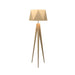 Accord 3034 Facet 1-lt 65" Tall LED Floor Lamp-Maple