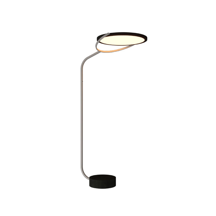 Accord 3039 Naia 1-lt 69" Tall LED Floor Lamp-Charcoal